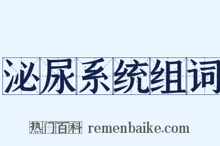 泌尿系统组词是什么意思的图片